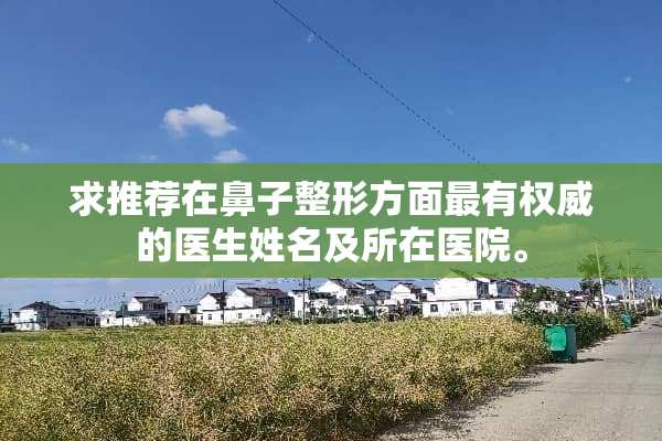 求推荐在鼻子整形方面最有权威的医生姓名及所在医院。