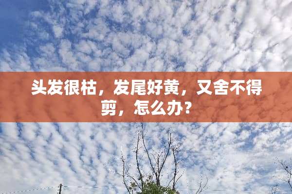 头发很枯，发尾好黄，又舍不得剪，怎么办？
