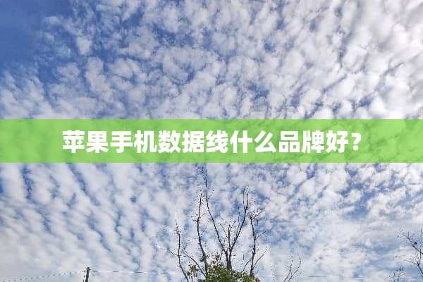 苹果手机数据线什么品牌好？
