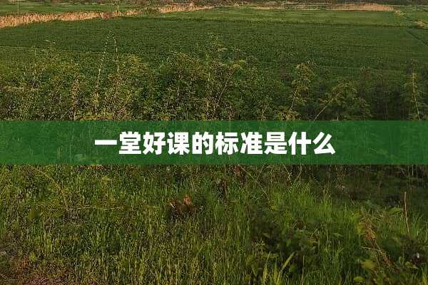 一堂好课的标准是什么