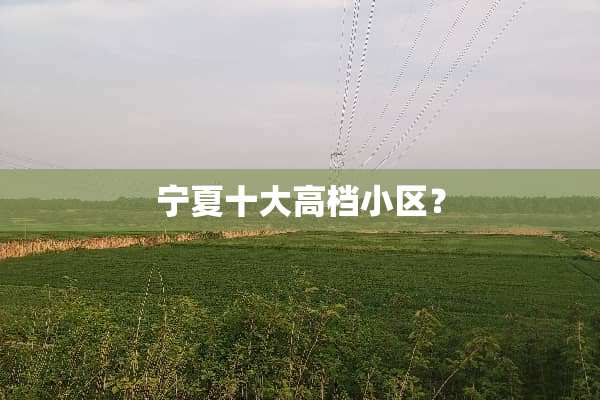 宁夏十大高档小区？