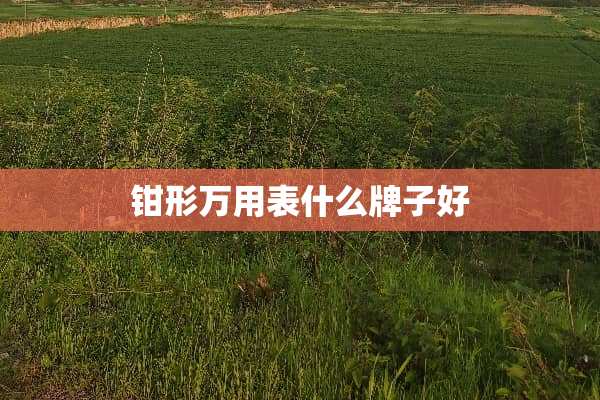 钳形万用表什么牌子好