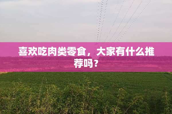 喜欢吃肉类零食，大家有什么推荐吗？