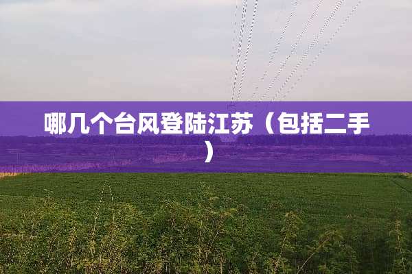 哪几个台风**江苏（包括二手）