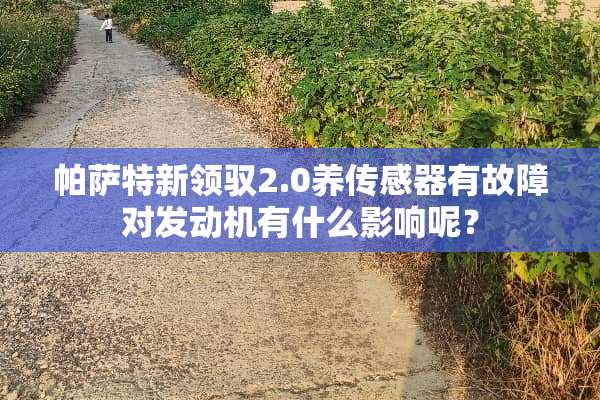 ***新领驭2.0养传感器有故障对发动机有什么影响呢？