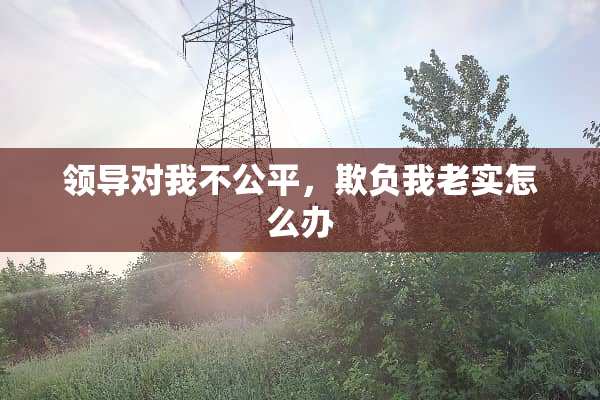 领导对我不公平，欺负我老实怎么办