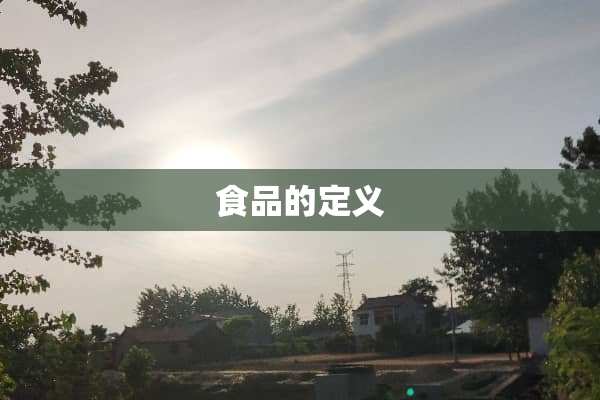 食品的定义