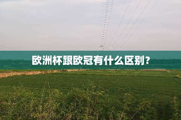 欧洲杯跟欧冠有什么区别？