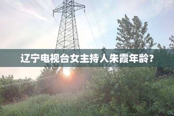 辽宁电视台女主持人朱霞年龄？
