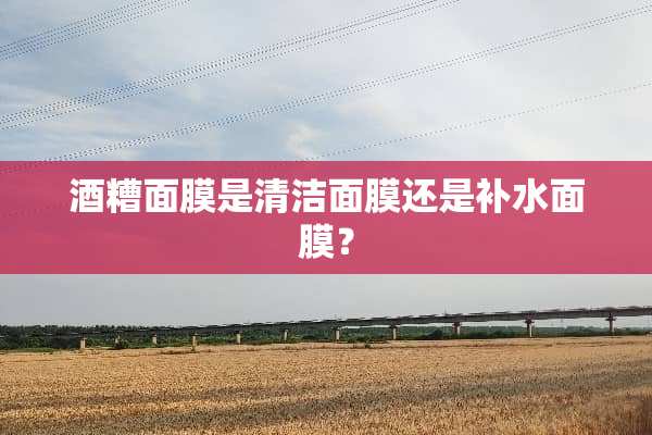 酒糟面膜是清洁面膜还是补水面膜？