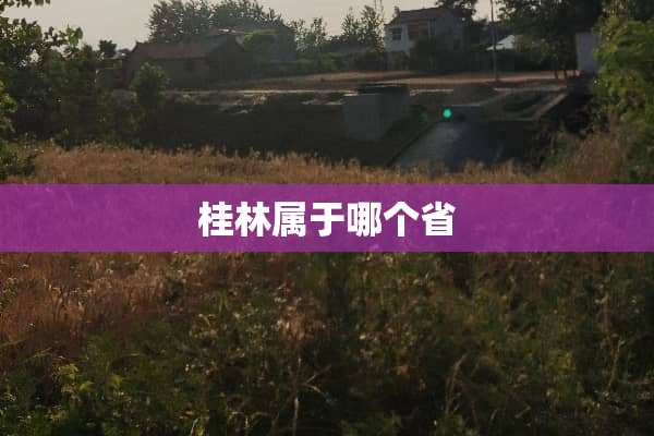 桂林属于哪个省