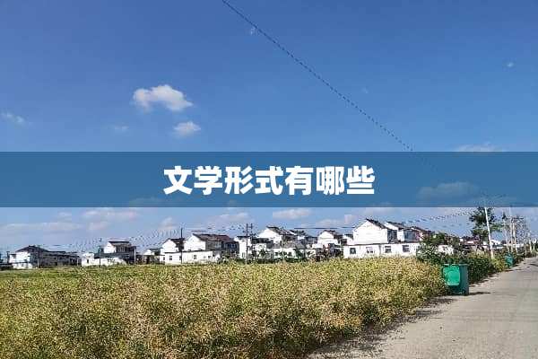 文学形式有哪些