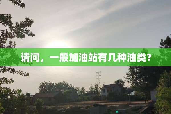 请问，一般加油站有几种油类？