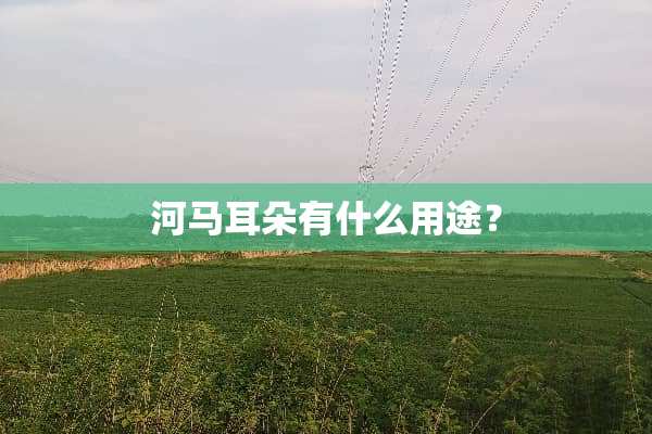 河马耳朵有什么用途？