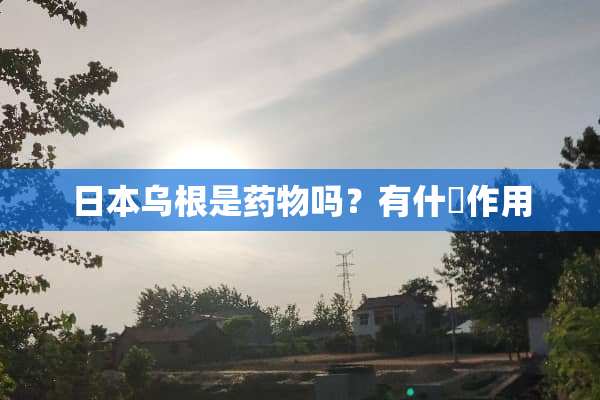 日本乌根是药物吗？有什麼作用