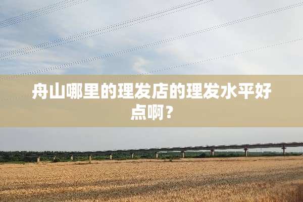 舟山哪里的理发店的理发水平好点啊？