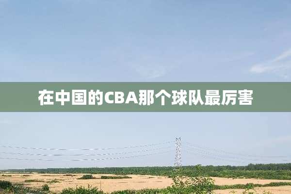 在中国的CBA那个球队最厉害
