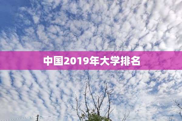 中国2019年大学排名