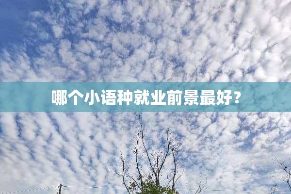 哪个小语种就业前景最好？