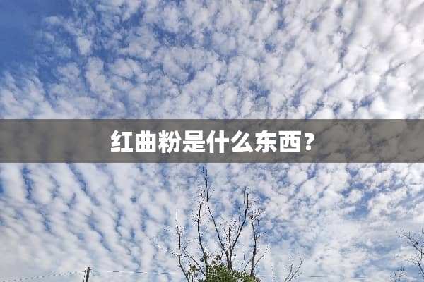 红曲粉是什么东西？