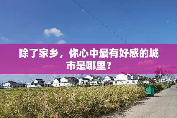除了家乡，你心中最有好感的城市是哪里？