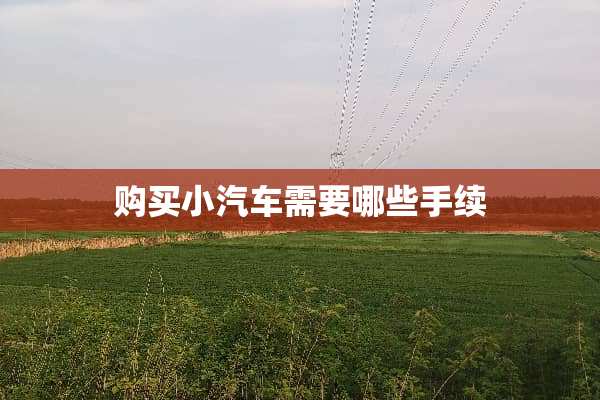 购买小汽车需要哪些手续
