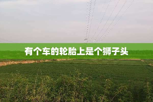 有个车的轮胎上是个狮子头