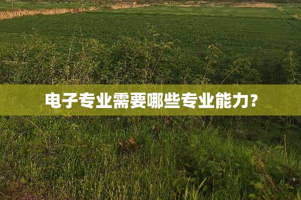 电子专业需要哪些专业能力？