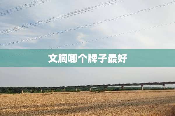 文胸哪个牌子最好