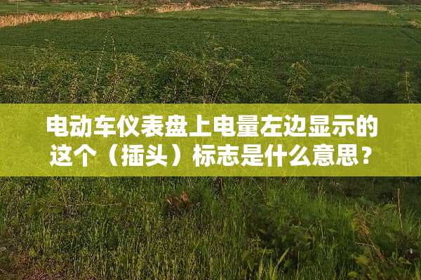 电动车仪表盘上电量左边显示的这个（插头）标志是什么意思？