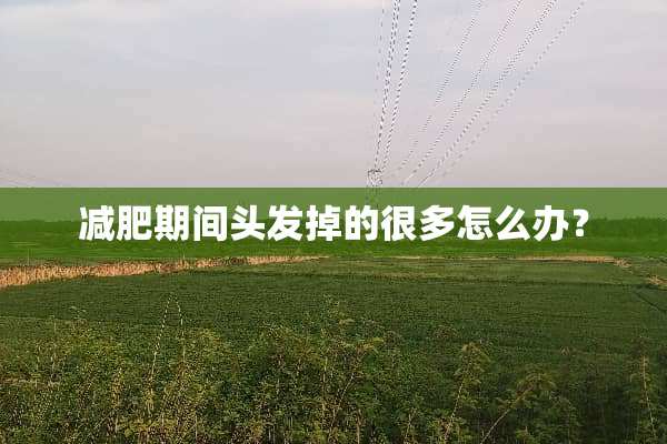 减肥期间头发掉的很多怎么办？