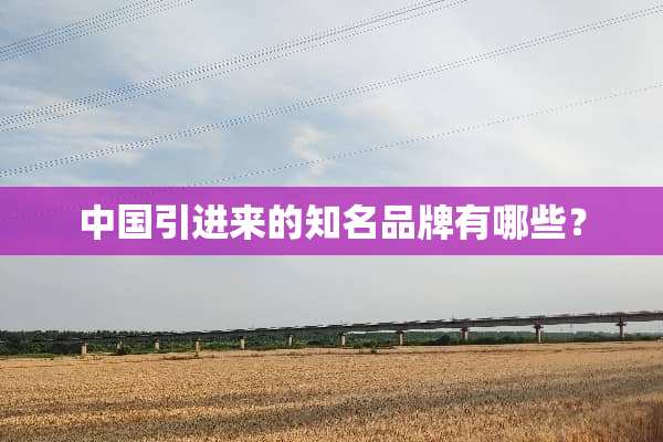 中国引进来的知名品牌有哪些？