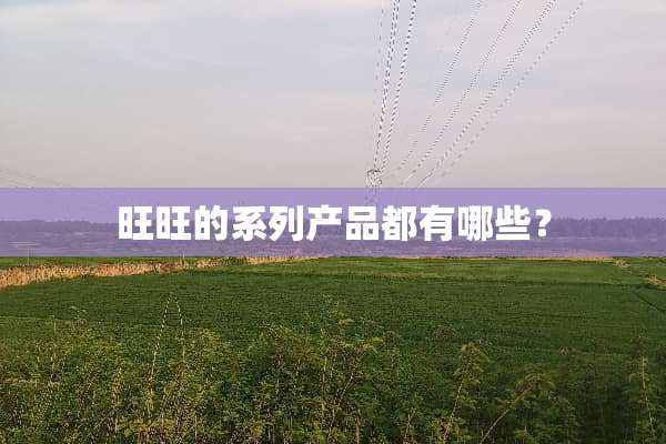 旺旺的系列产品都有哪些？