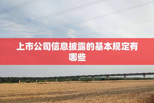 上市公司信息披露的基本规定有哪些