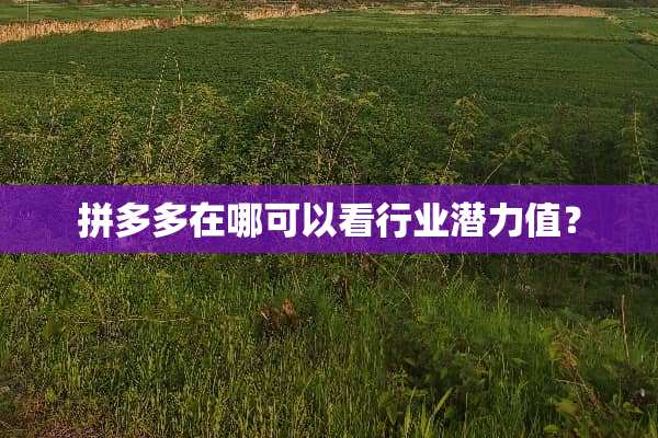 拼多多在哪可以看行业潜力值？
