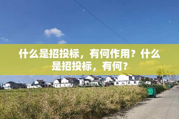 什么是招投标，有何作用？什么是招投标，有何？