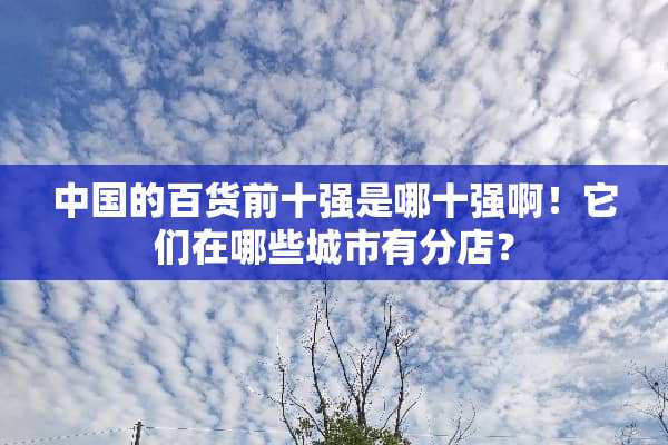 中国的百货前十强是哪十强啊！它们在哪些城市有分店？