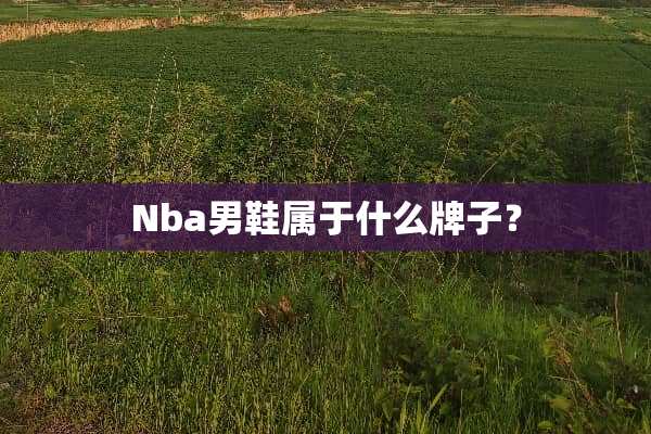 Nba男鞋属于什么牌子？