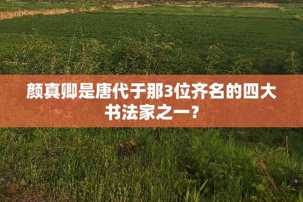 颜真卿是唐代于那3位齐名的四大书法家之一？