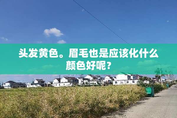 头发黄色。眉毛也是应该化什么颜色好呢？