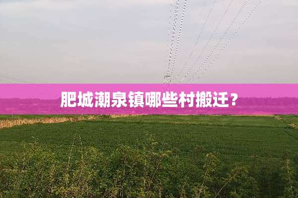 肥城潮泉镇哪些村搬迁？