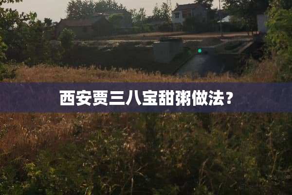 西安贾三八宝甜粥做法？