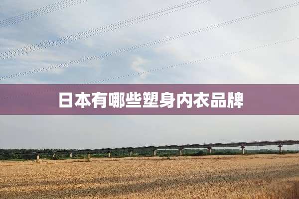 日本有哪些塑身**品牌