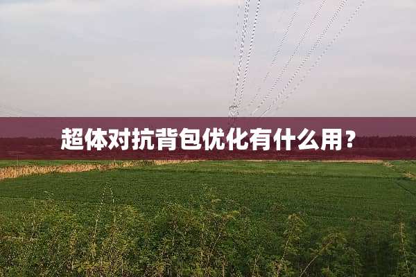 超体对抗背包优化有什么用？