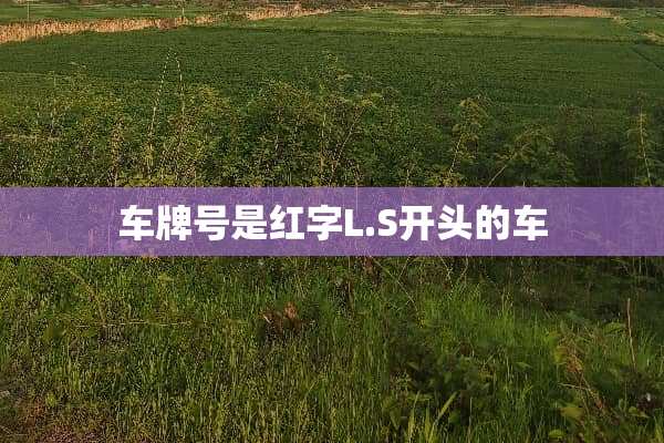 ***是红字L.S开头的车