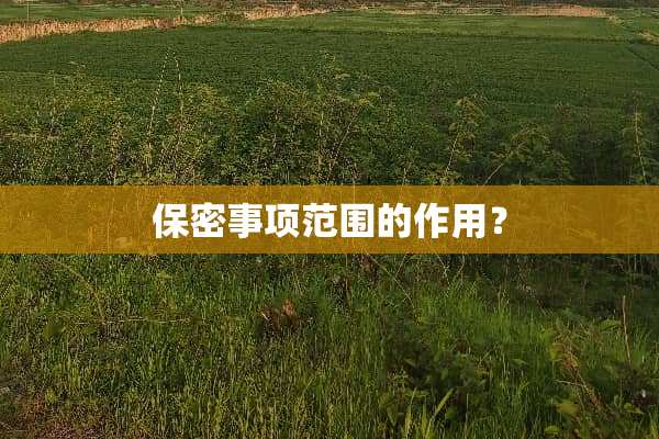 保密事项范围的作用？