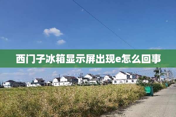 西门子冰箱显示屏出现e怎么回事