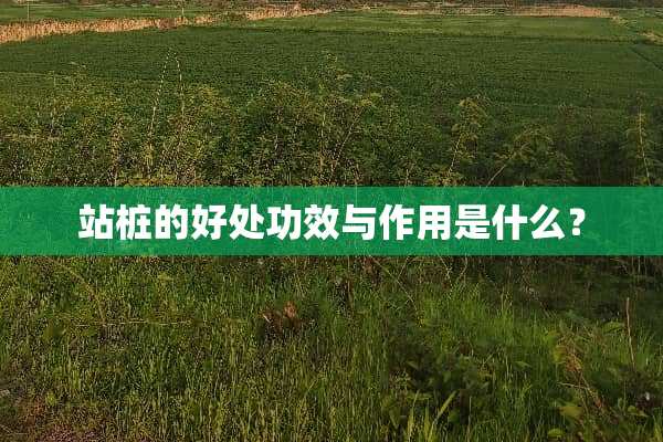 站桩的好处功效与作用是什么？