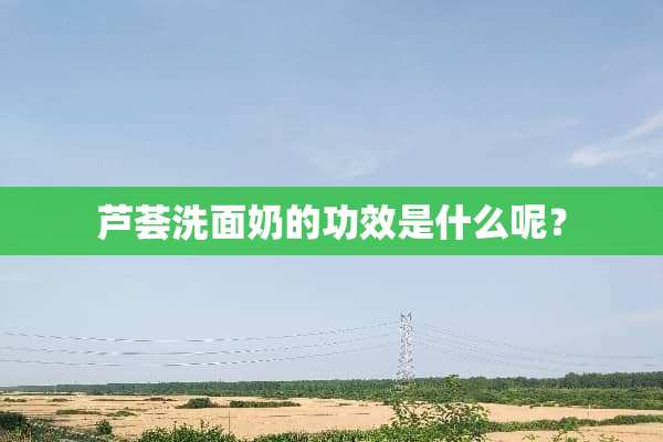 芦荟洗面奶的功效是什么呢？