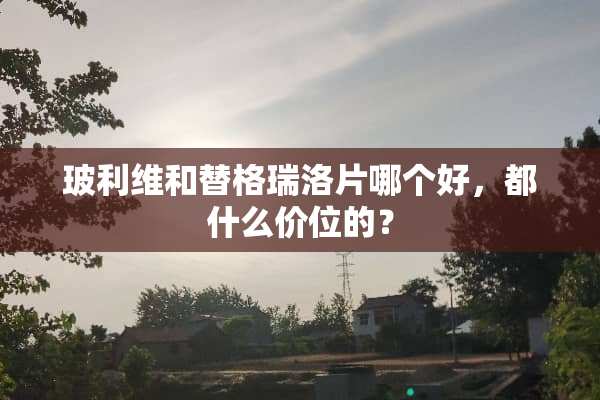 玻利维和替格瑞洛片哪个好，都什么价位的？
